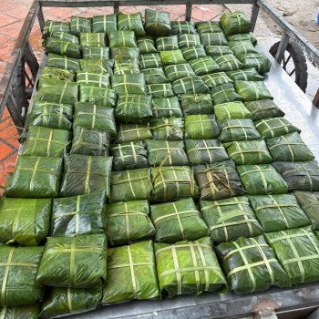 Bán thùng nấu bánh chưng cỡ đại -100 - 120 bánh