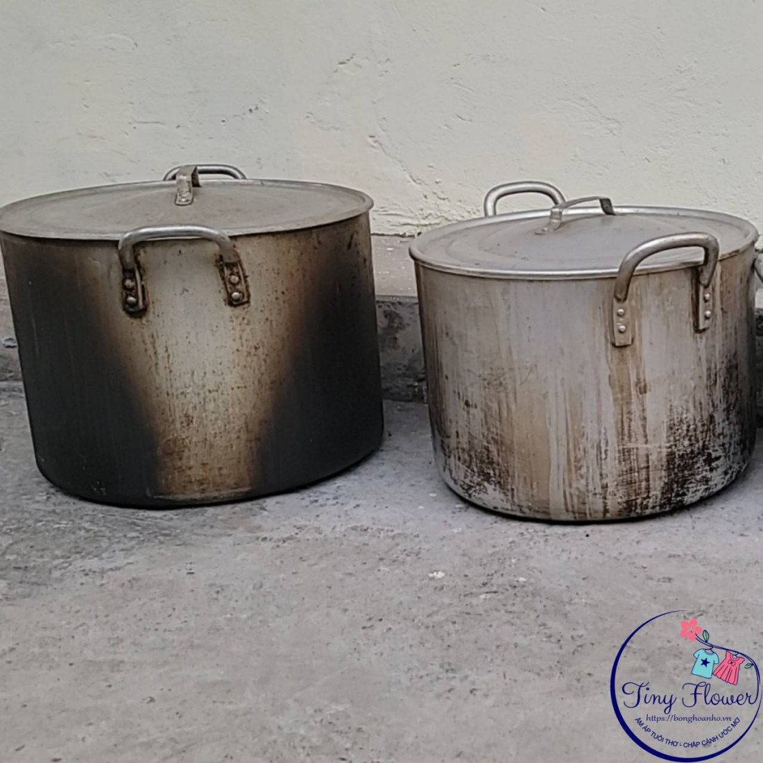 Cho thuê nồi luộc bánh chưng loại nhỏ 30 chiếc-No brand-bán sỉ Cho thuê nồi luộc bánh chưng loại nhỏ 30 chiếc Cho thuê nồi luộc bánh chưng loại nhỏ 30 chiếc- 40lit