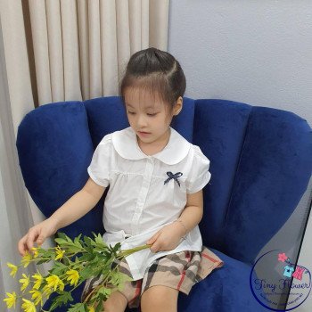 Áo sơ mi nơ cổ - A7255